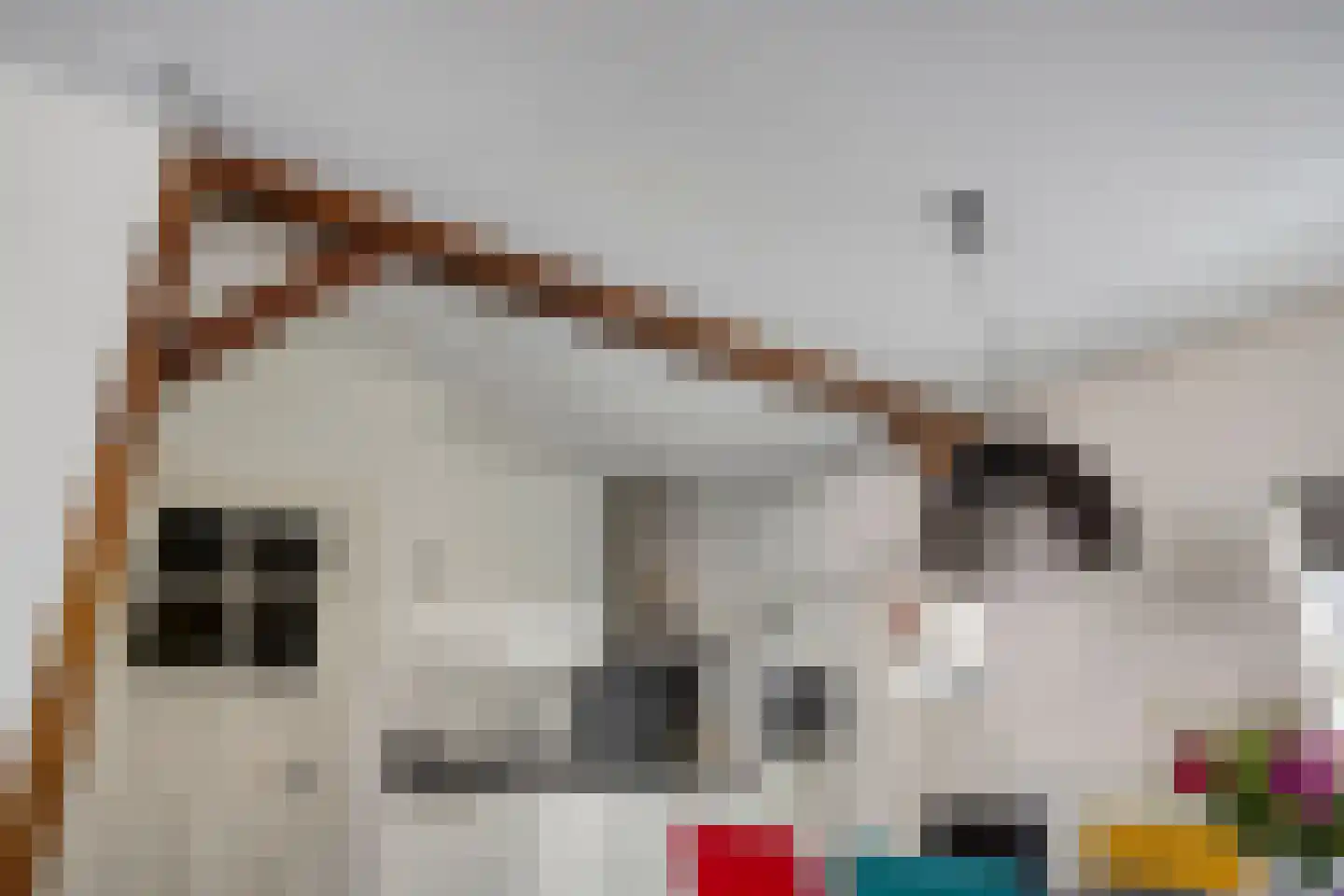 Besoyensestraat 50 a Waalwijk thumbnail 14