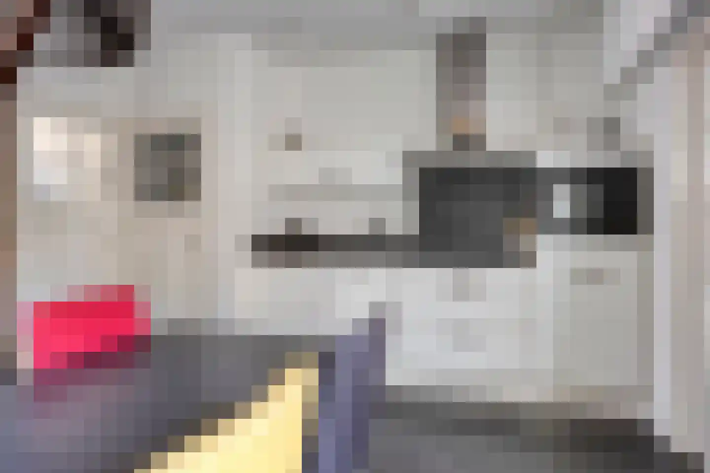 Besoyensestraat 50 a Waalwijk thumbnail 16
