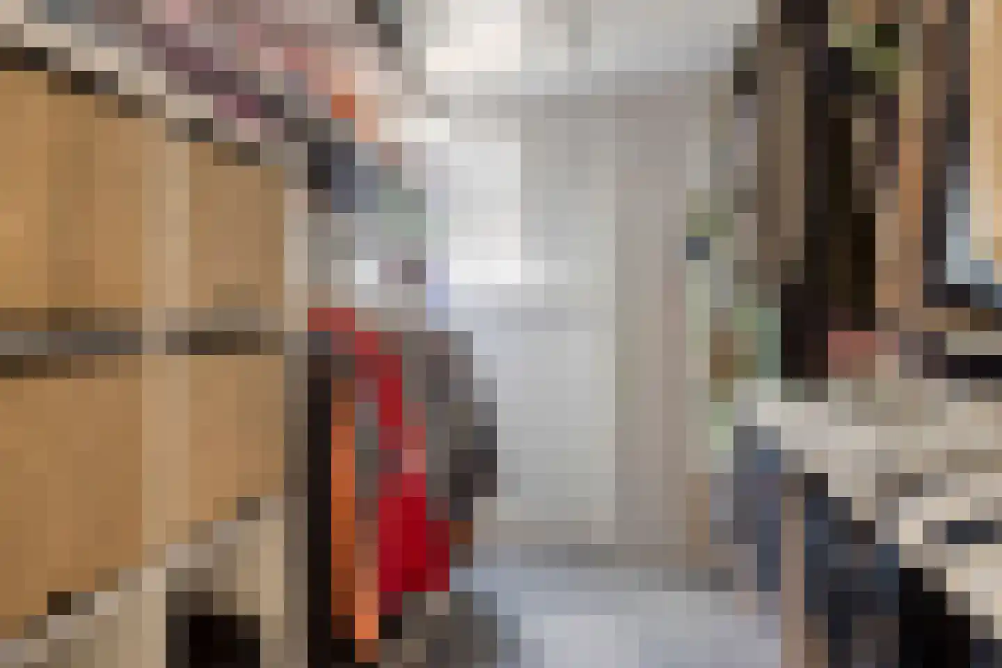 Besoyensestraat 50 a Waalwijk thumbnail 29