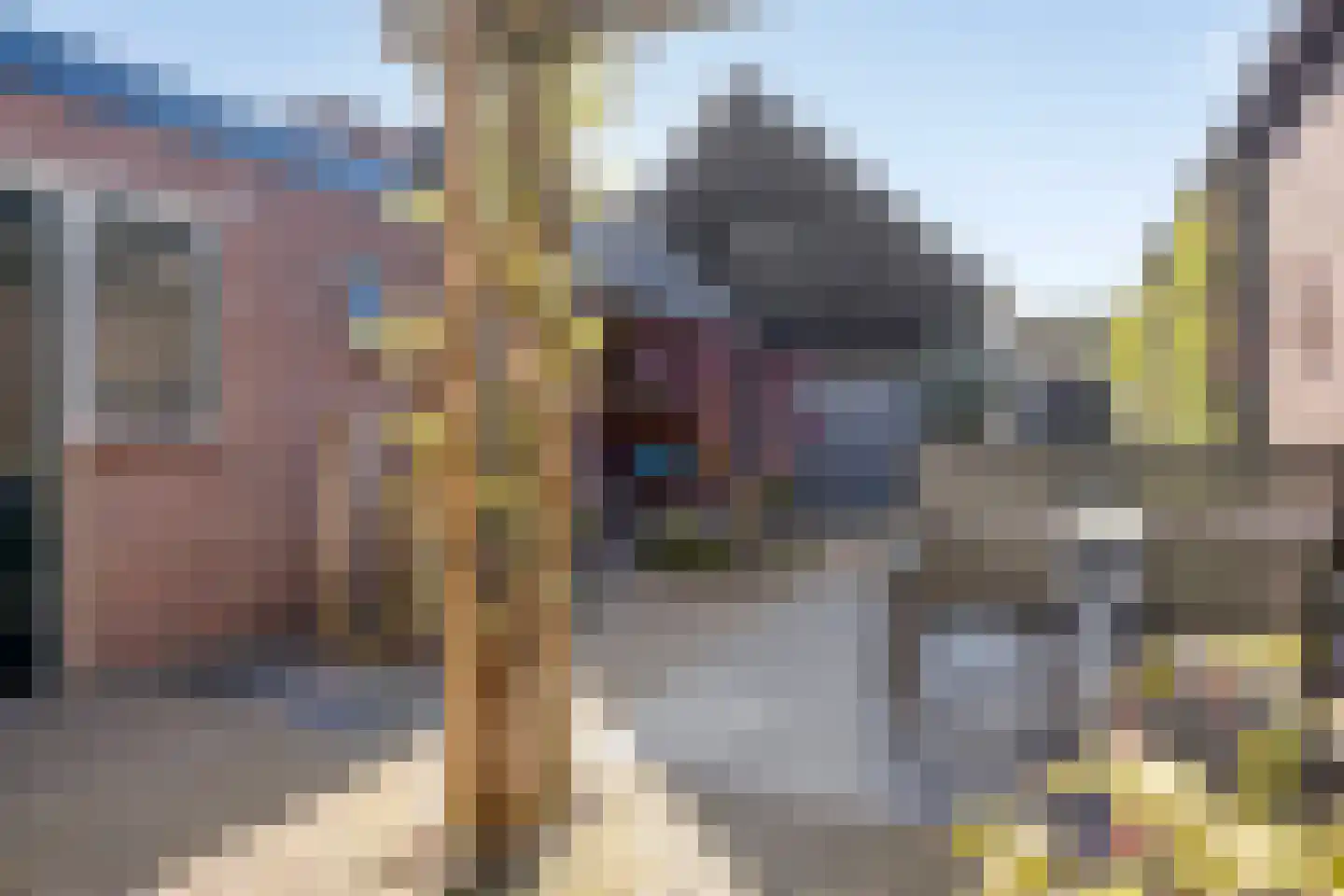 Besoyensestraat 50 a Waalwijk thumbnail 32
