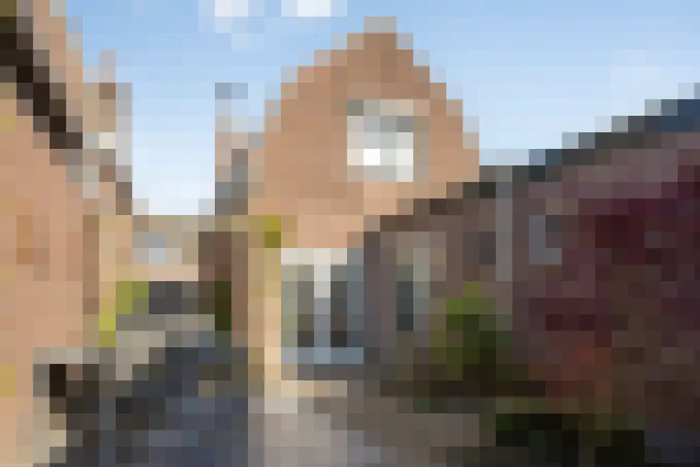 Besoyensestraat 50 a Waalwijk thumbnail 35