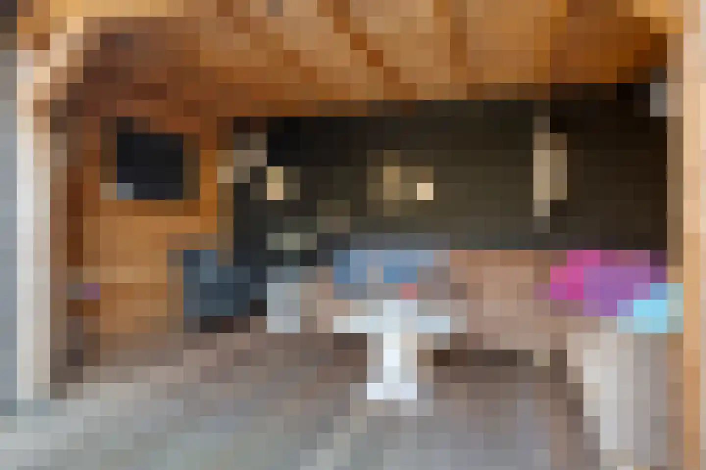 Besoyensestraat 50 a Waalwijk thumbnail 37
