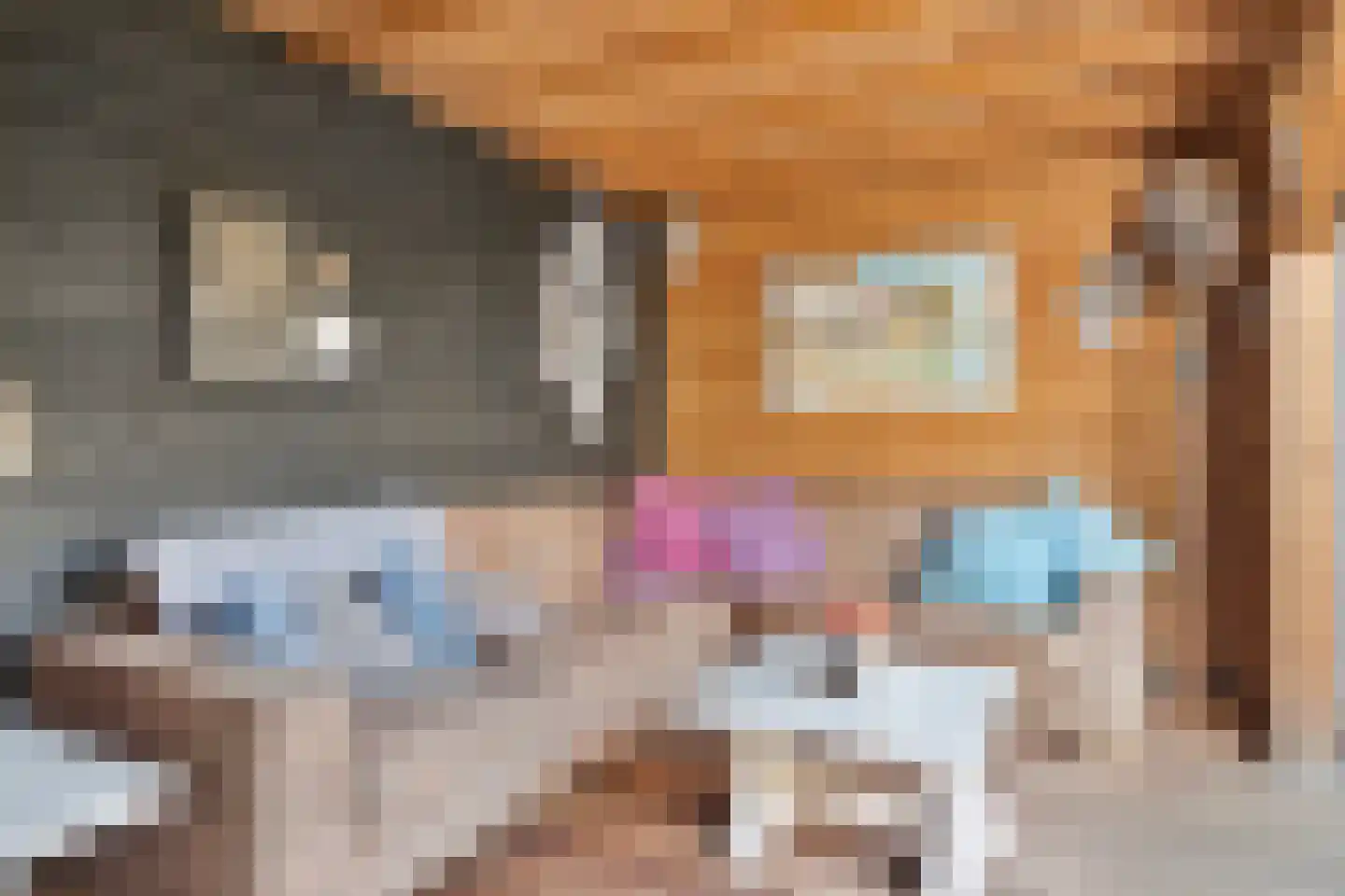 Besoyensestraat 50 a Waalwijk thumbnail 38