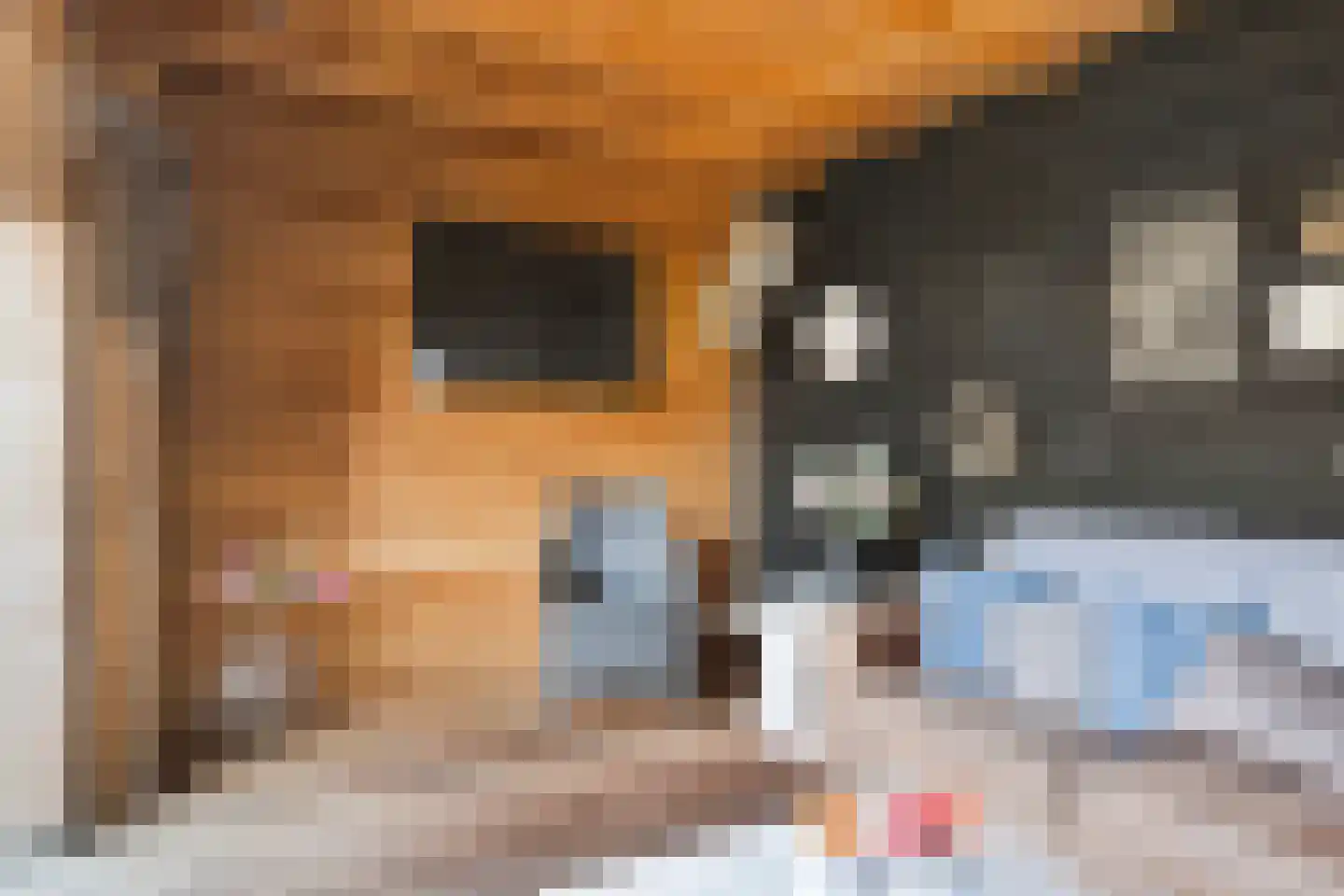Besoyensestraat 50 a Waalwijk thumbnail 39