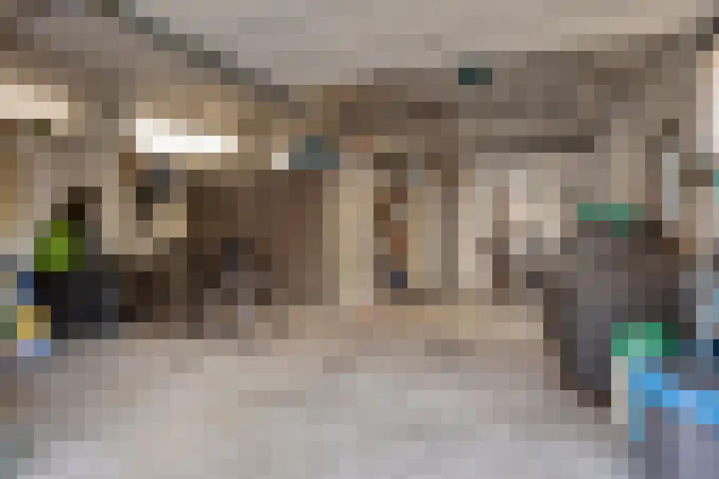 Besoyensestraat 50 a Waalwijk thumbnail 40