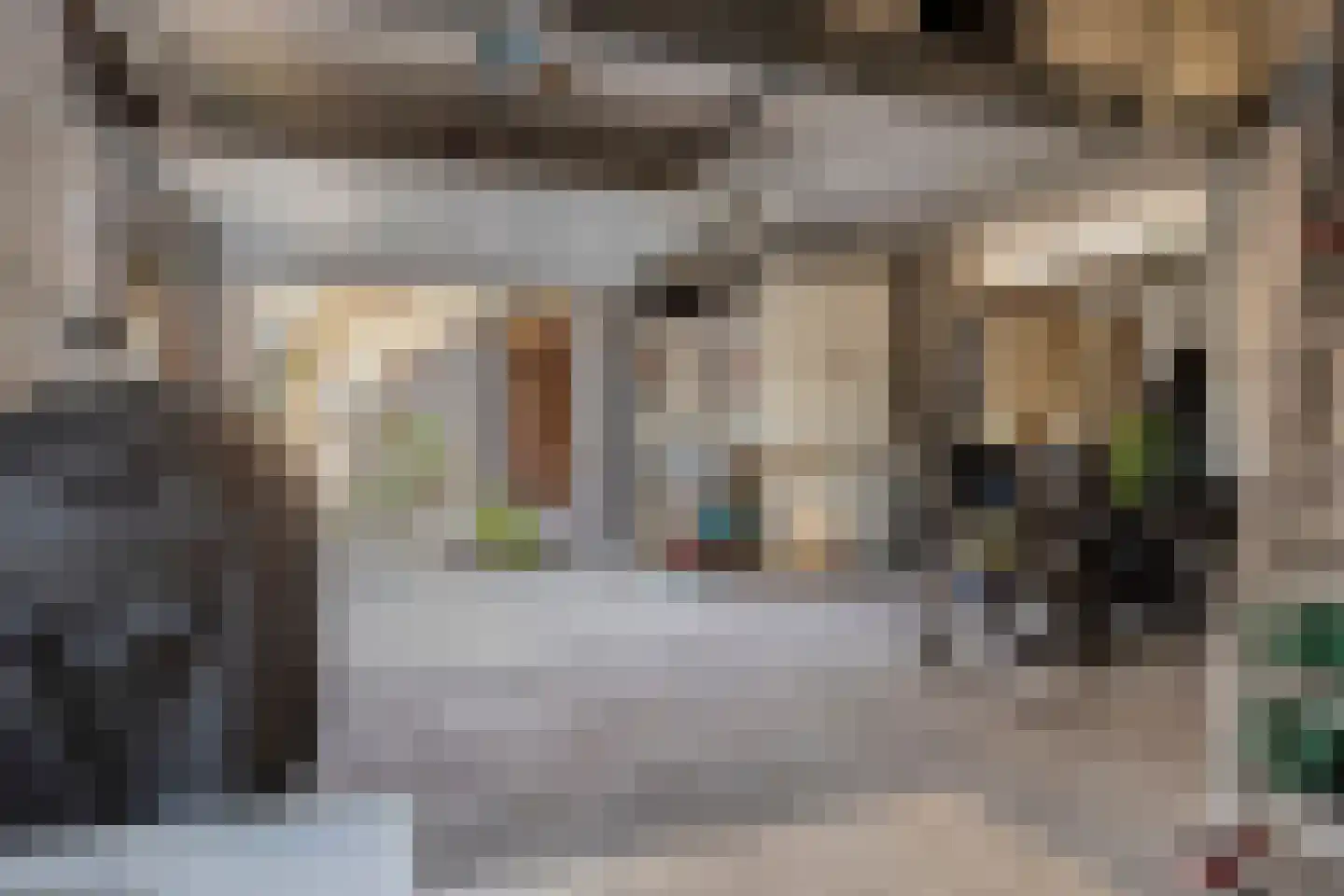 Besoyensestraat 50 a Waalwijk thumbnail 41