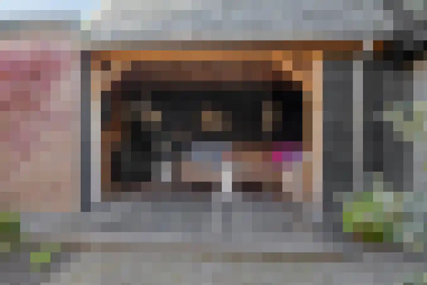 Besoyensestraat 50 a Waalwijk thumbnail 5