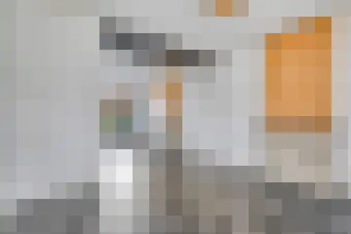 Besoyensestraat 65 a Waalwijk thumbnail 10