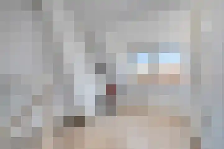 Besoyensestraat 65 a Waalwijk thumbnail 22