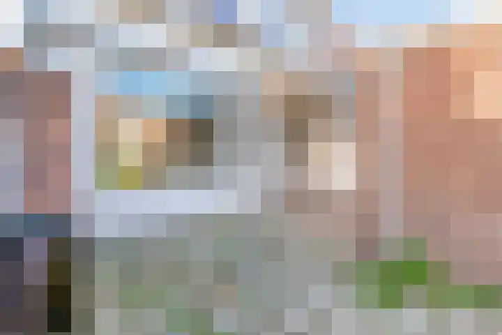 Besoyensestraat 65 a Waalwijk thumbnail 26