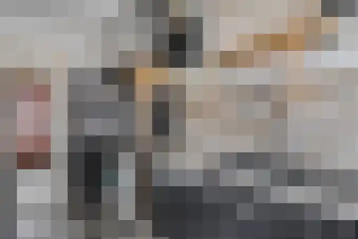 Besoyensestraat 65 a Waalwijk thumbnail 6