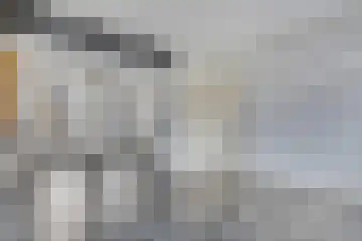 Besoyensestraat 65 a Waalwijk thumbnail 8