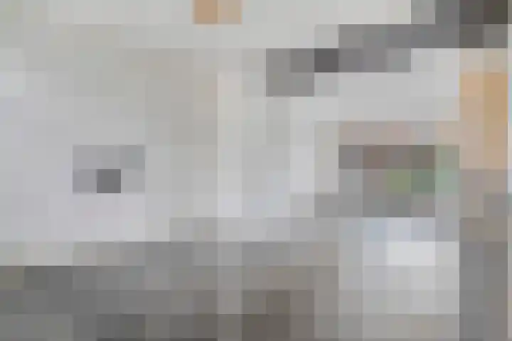 Besoyensestraat 65 a Waalwijk thumbnail 9