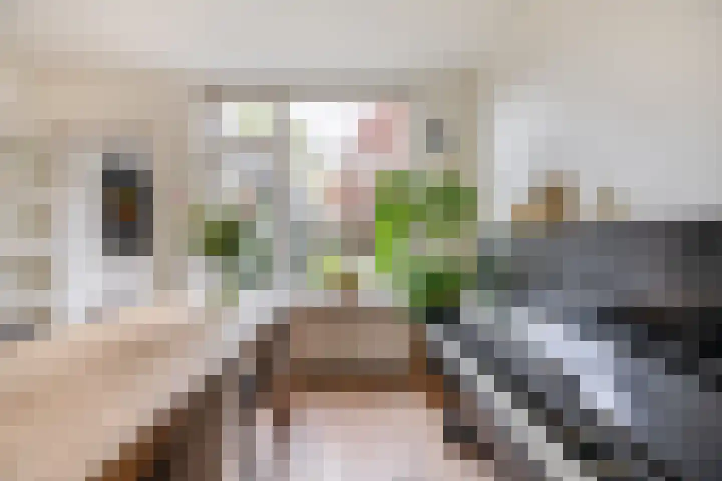 Besoyensestraat 69 Waalwijk thumbnail 12