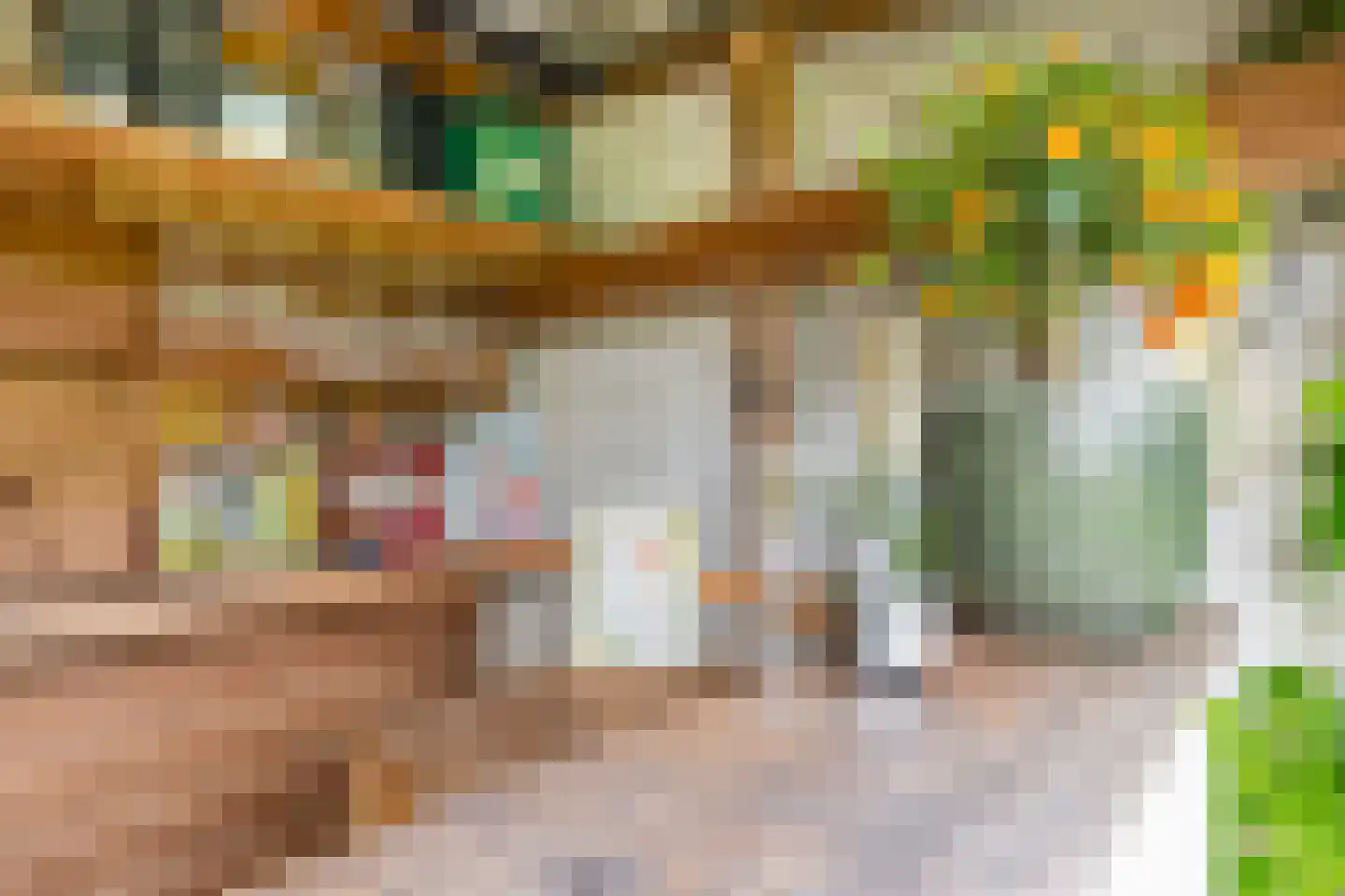 Besoyensestraat 69 Waalwijk thumbnail 20