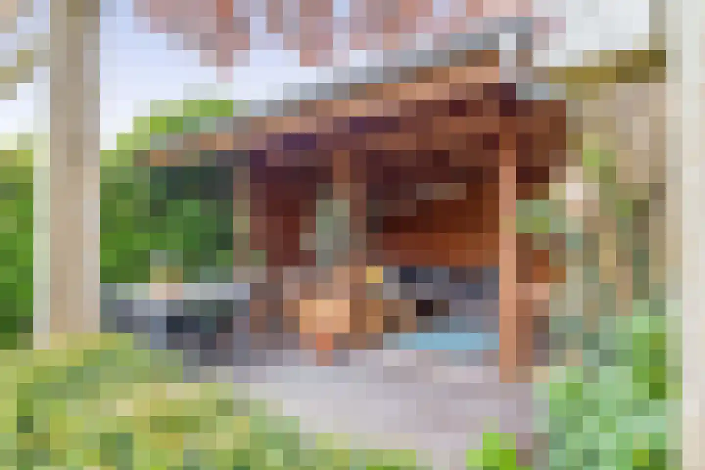 Besoyensestraat 69 Waalwijk thumbnail 23