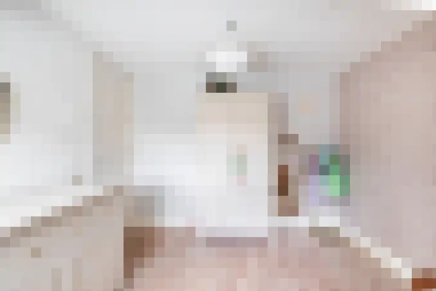 Besoyensestraat 69 Waalwijk thumbnail 32