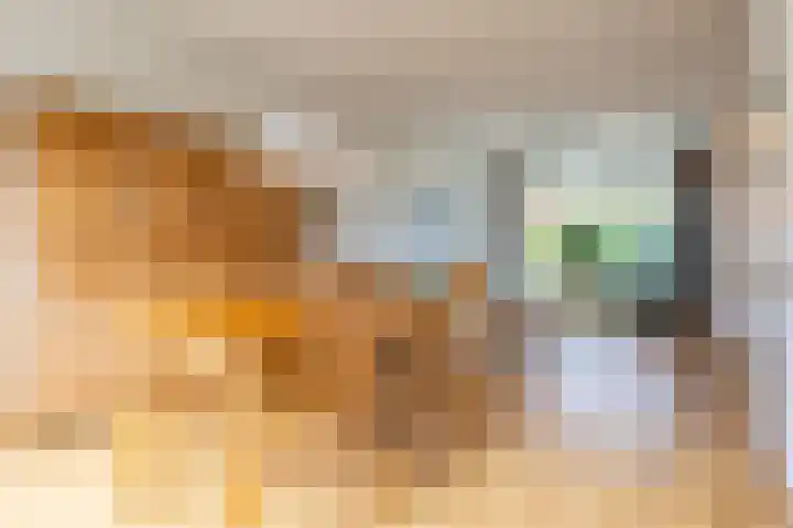 Bessegaard 15 Zwaag thumbnail 10