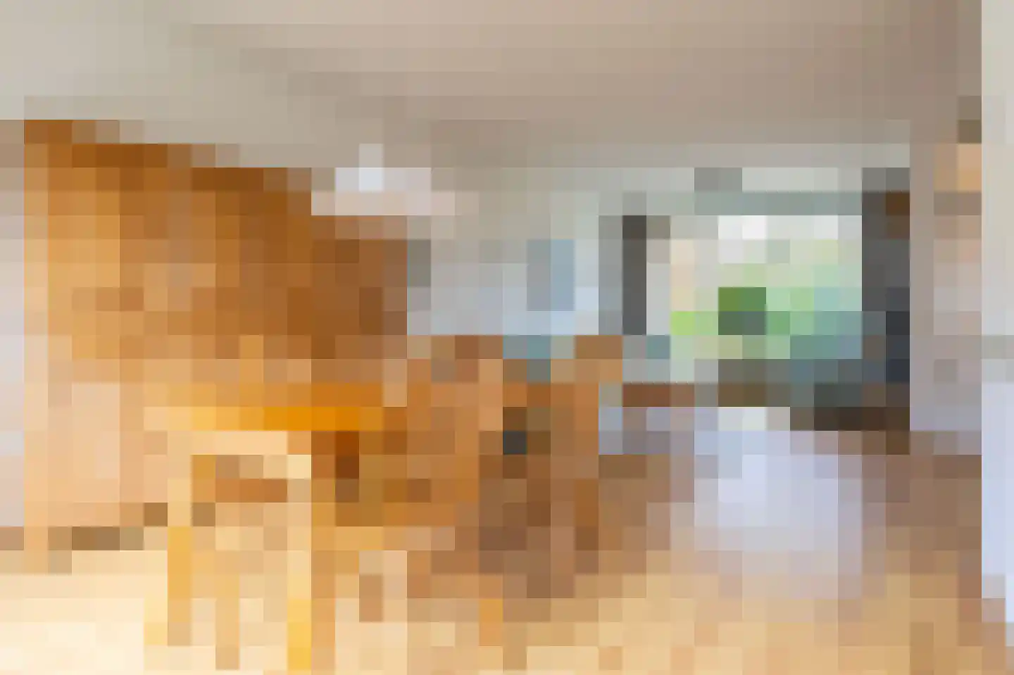 Bessegaard 15 Zwaag thumbnail 10