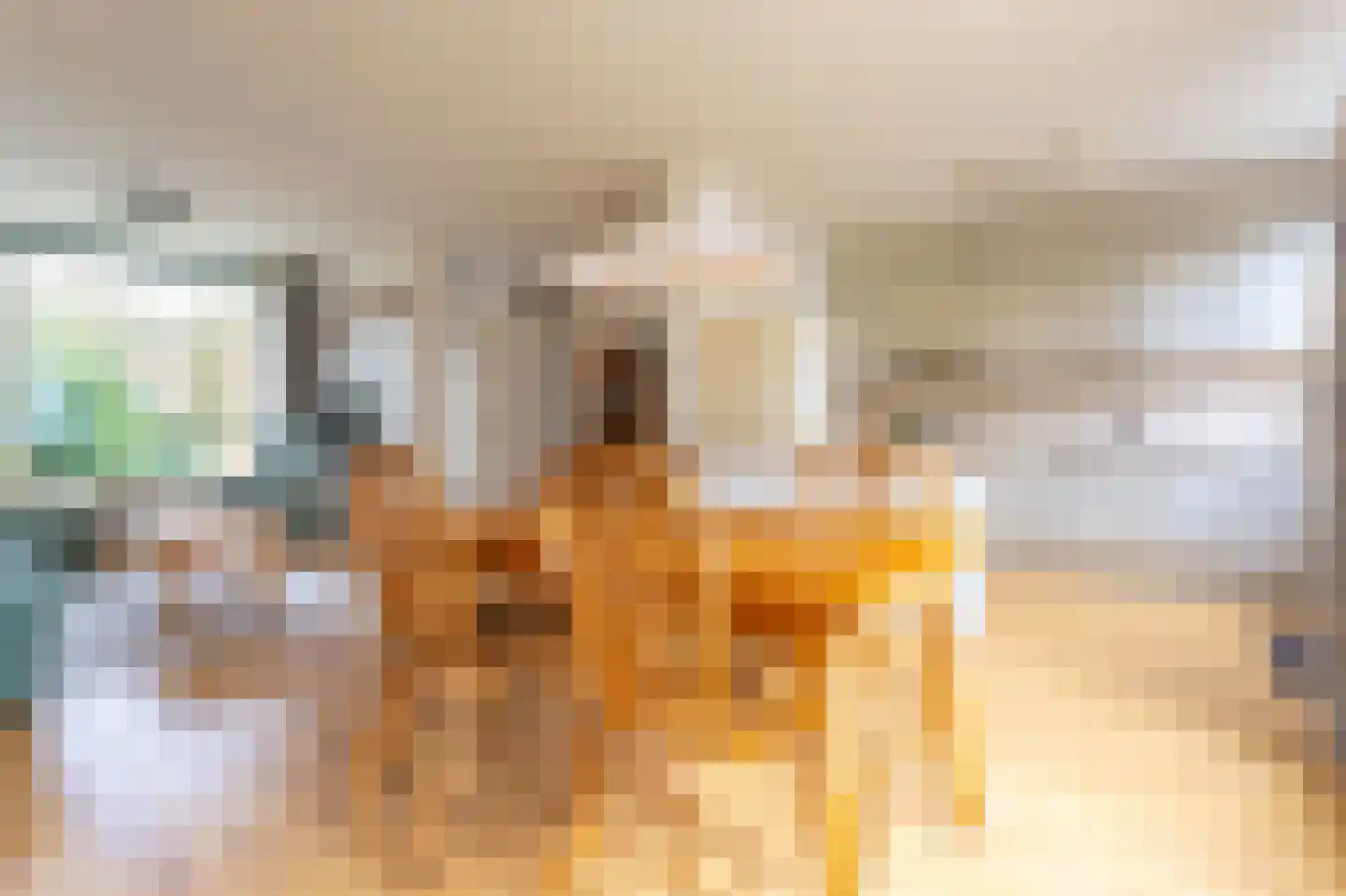 Bessegaard 15 Zwaag thumbnail 11