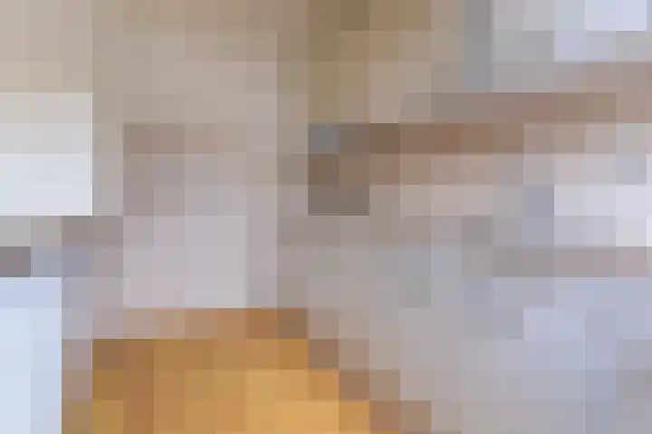Bessegaard 15 Zwaag thumbnail 13