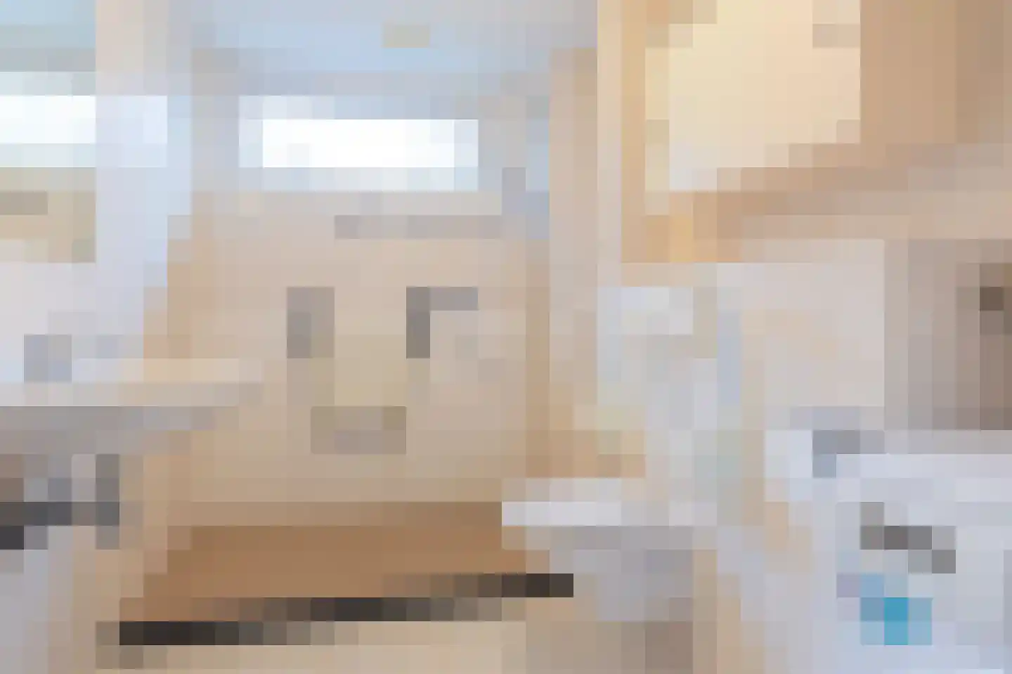 Bessegaard 15 Zwaag thumbnail 25