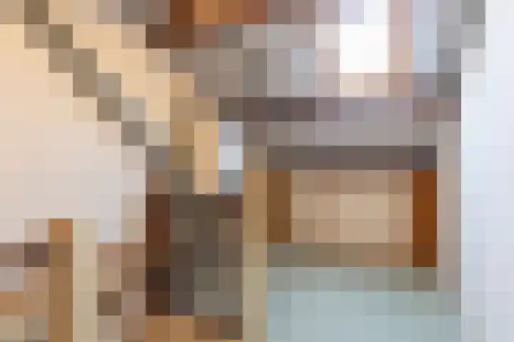 Bessegaard 15 Zwaag thumbnail 27