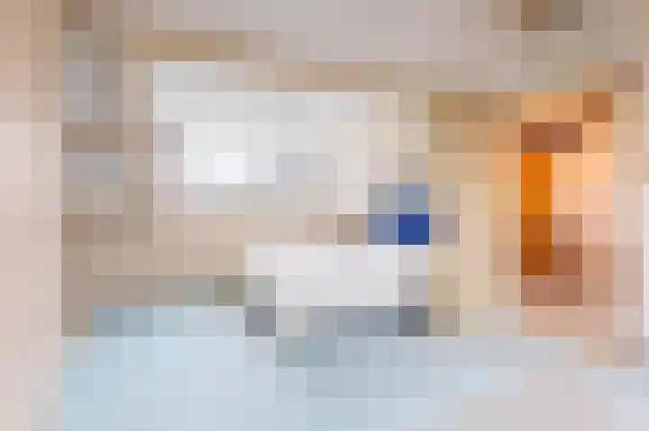 Bessegaard 15 Zwaag thumbnail 28