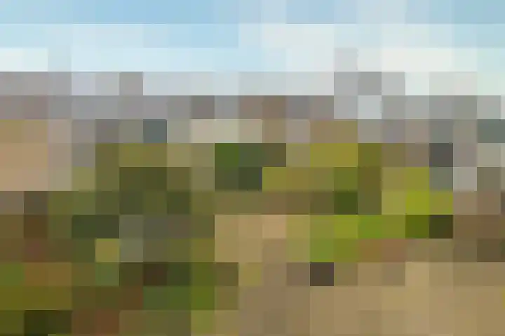 Bessegaard 15 Zwaag thumbnail 32