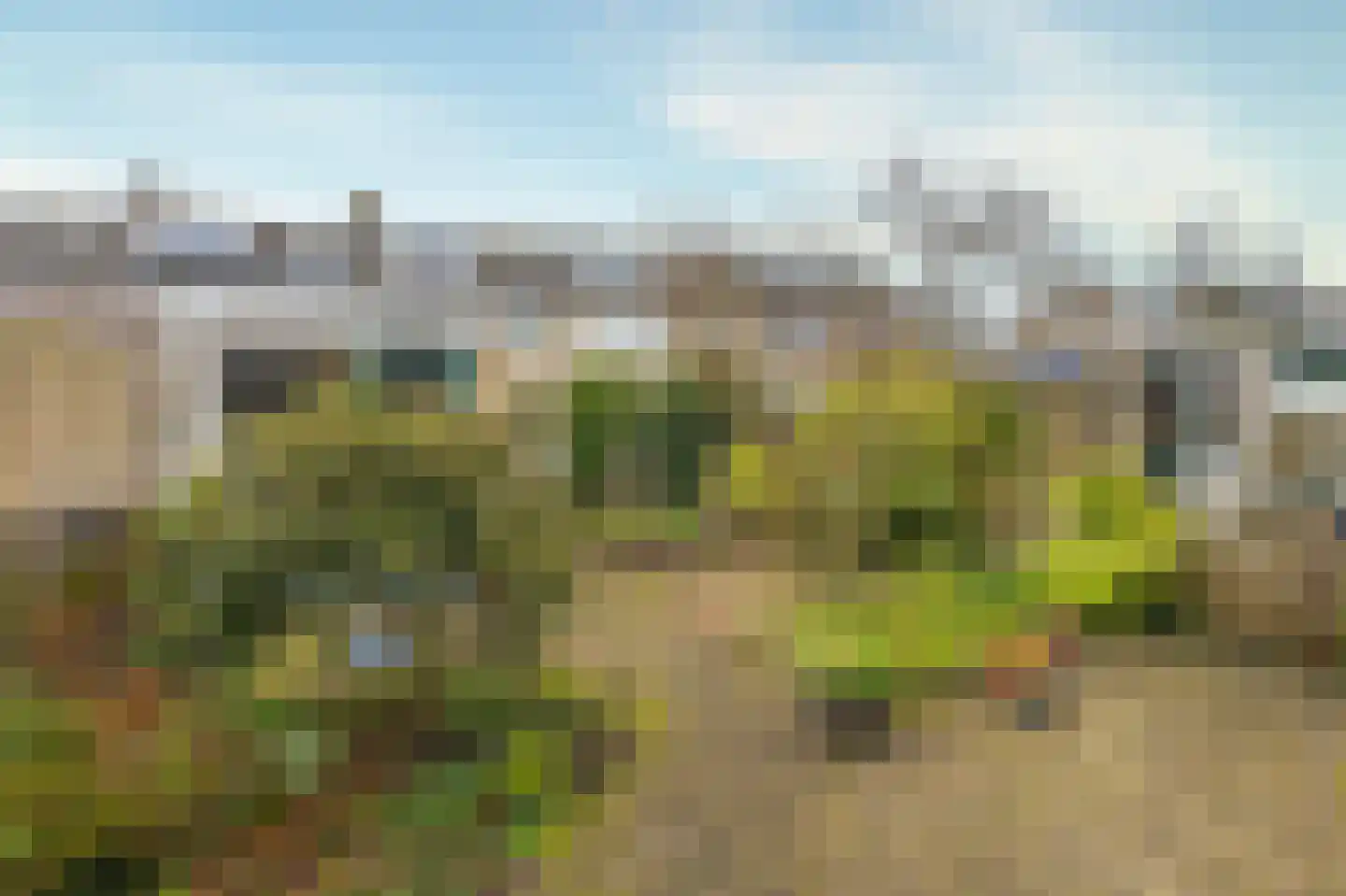 Bessegaard 15 Zwaag thumbnail 32