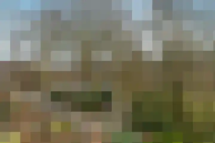 Bessegaard 15 Zwaag thumbnail 37