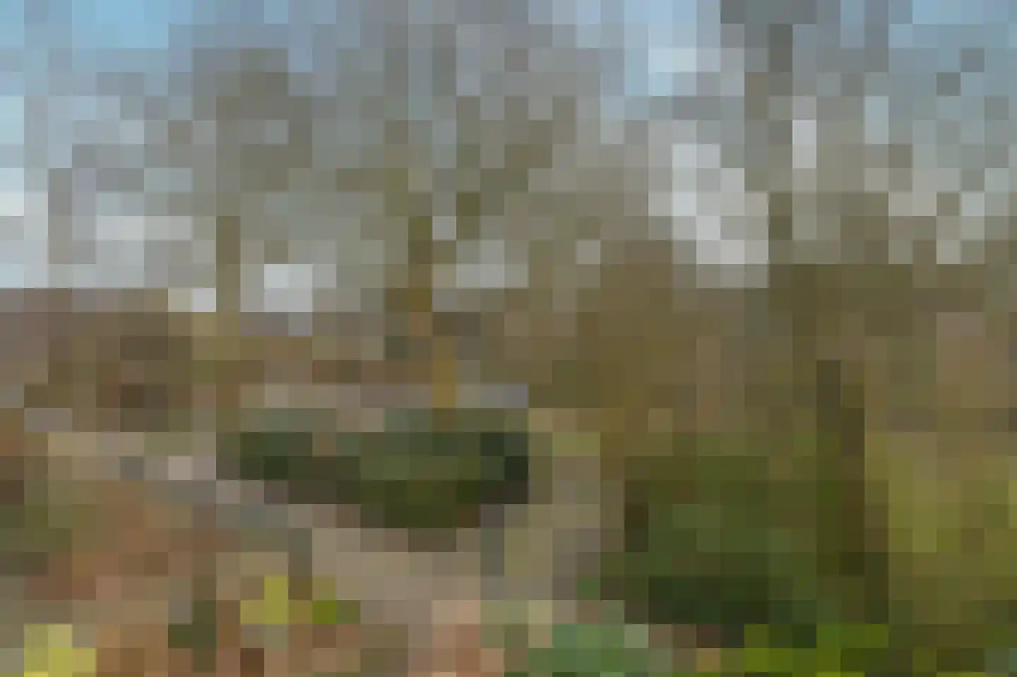 Bessegaard 15 Zwaag thumbnail 37