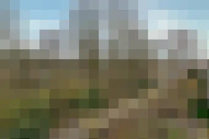 Bessegaard 15 Zwaag thumbnail 38