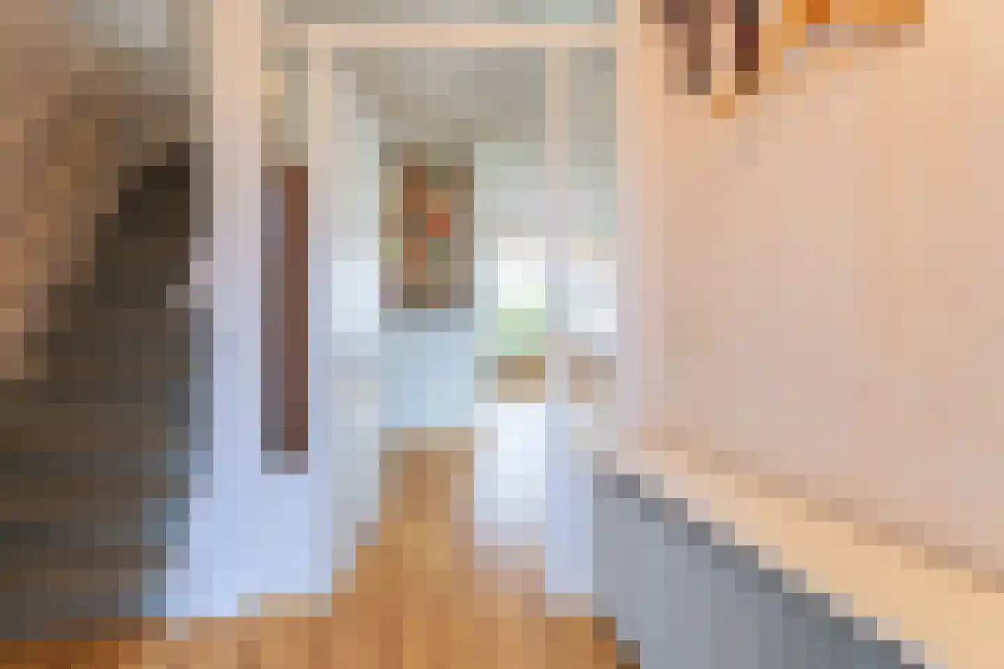 Bessegaard 15 Zwaag thumbnail 4
