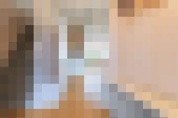 Bessegaard 15 Zwaag thumbnail 4