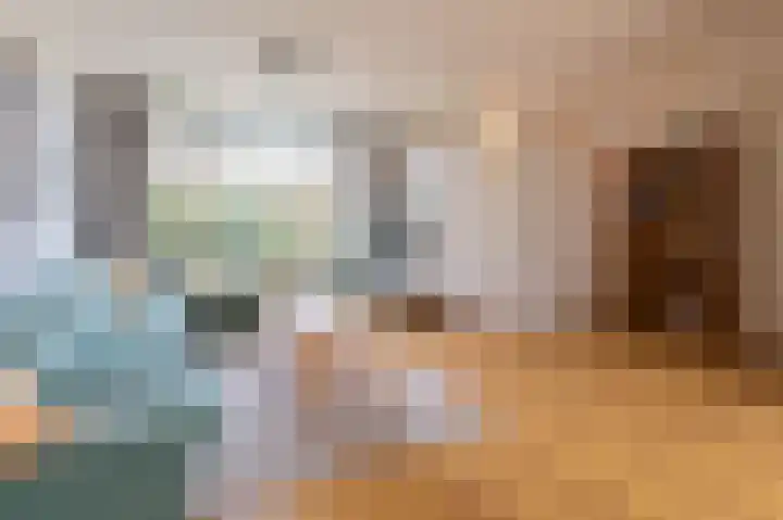 Bessegaard 15 Zwaag thumbnail 7