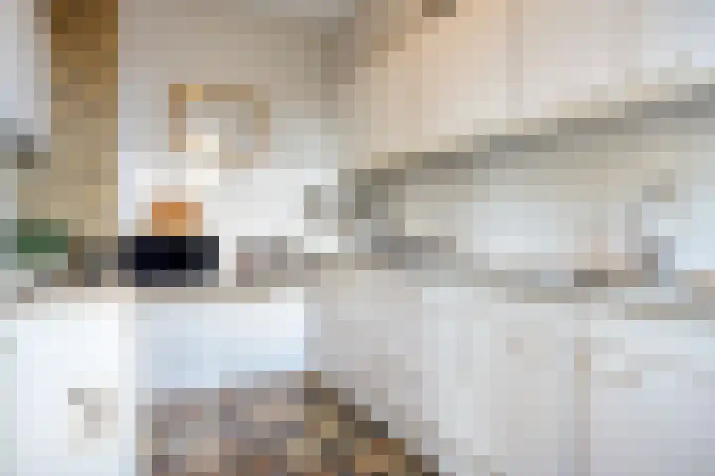 Bessegaard 7 Zwaag thumbnail 13
