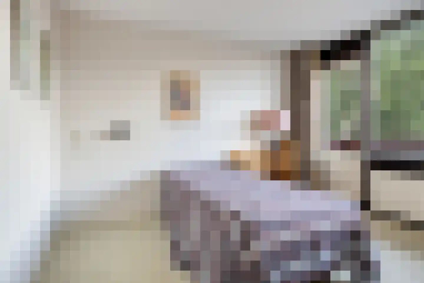 Bessegaard 7 Zwaag thumbnail 16
