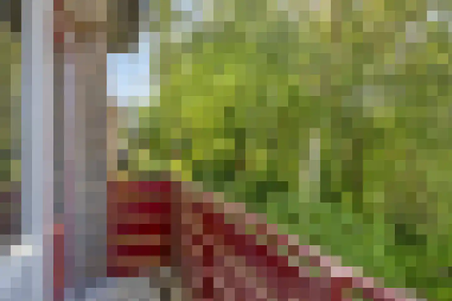 Bessegaard 7 Zwaag thumbnail 19