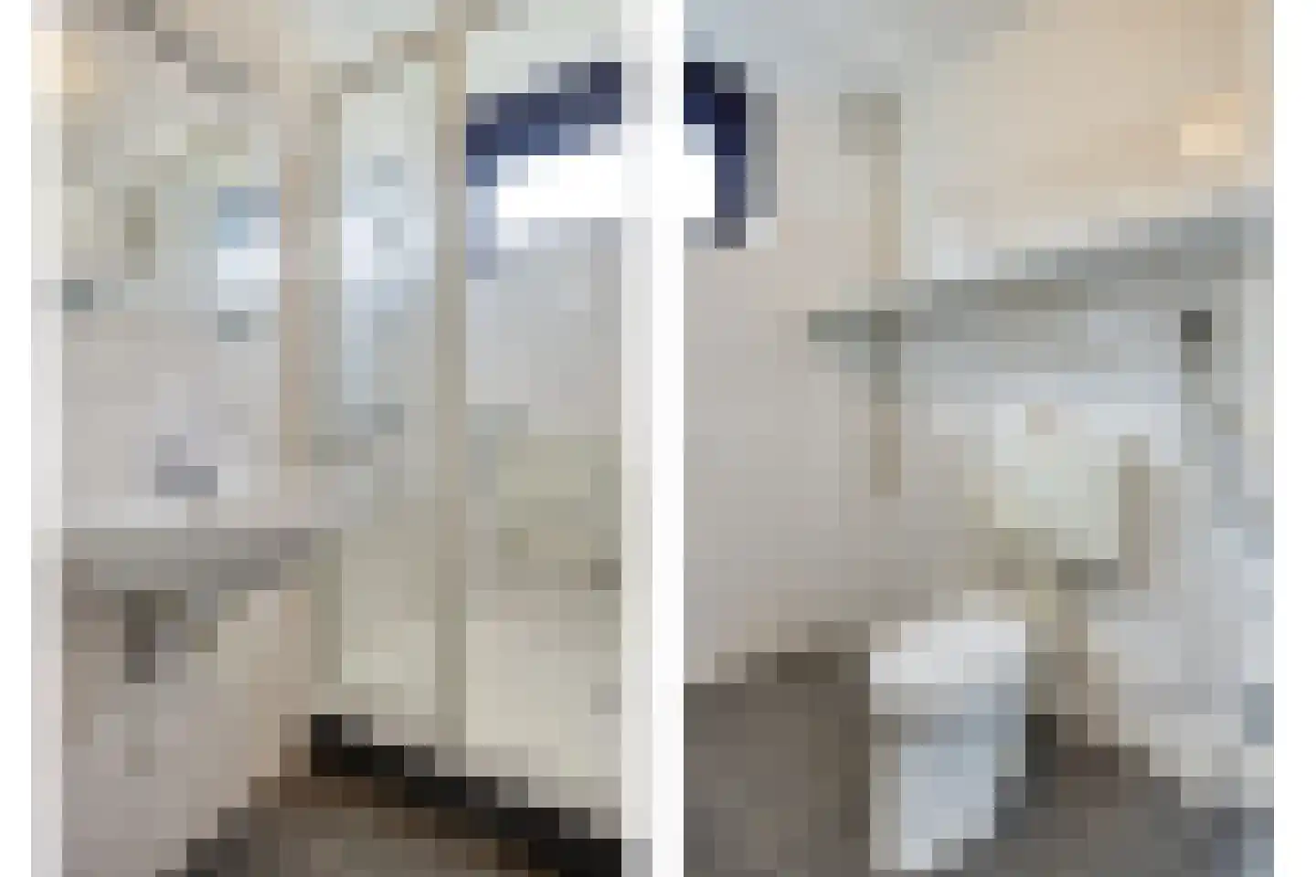 Bessegaard 7 Zwaag thumbnail 21
