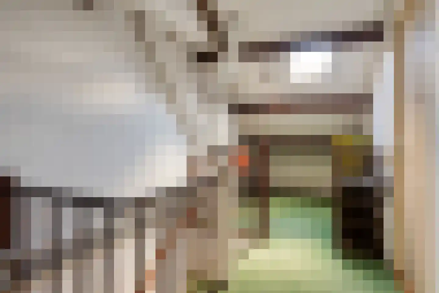 Bessegaard 7 Zwaag thumbnail 25