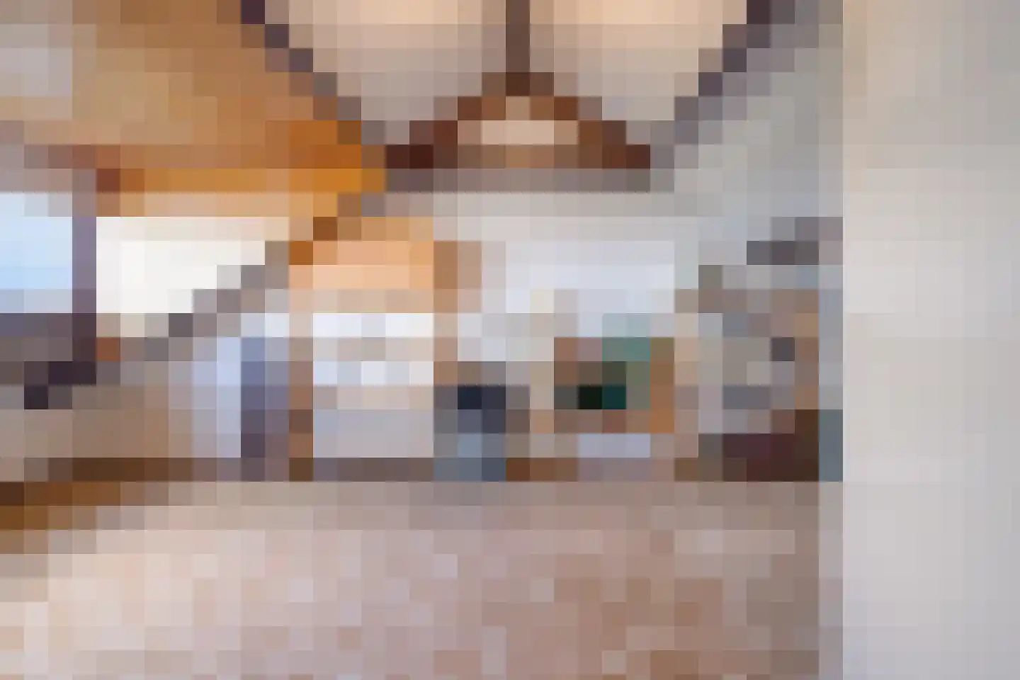 Bessegaard 7 Zwaag thumbnail 27