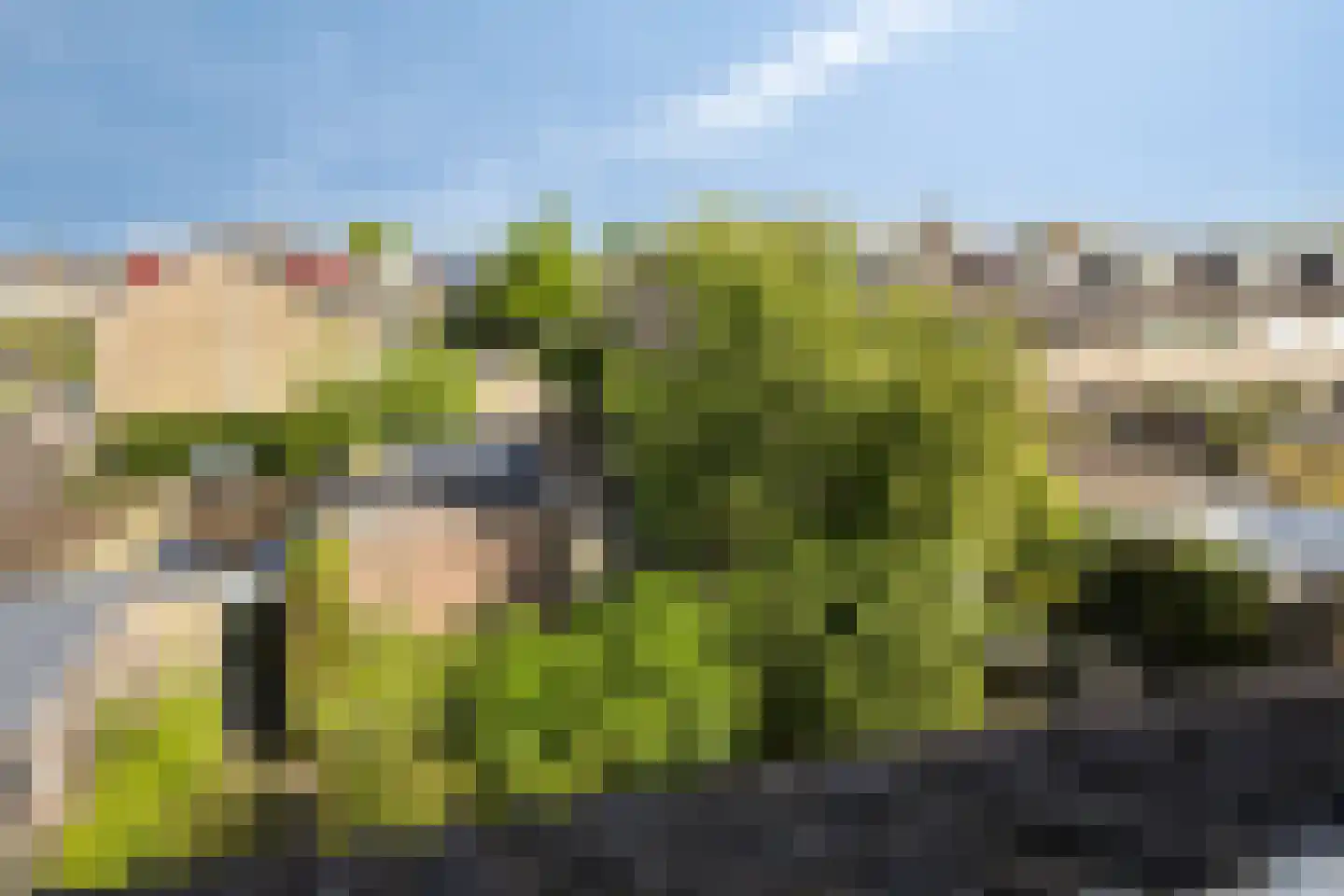 Bessegaard 7 Zwaag thumbnail 32