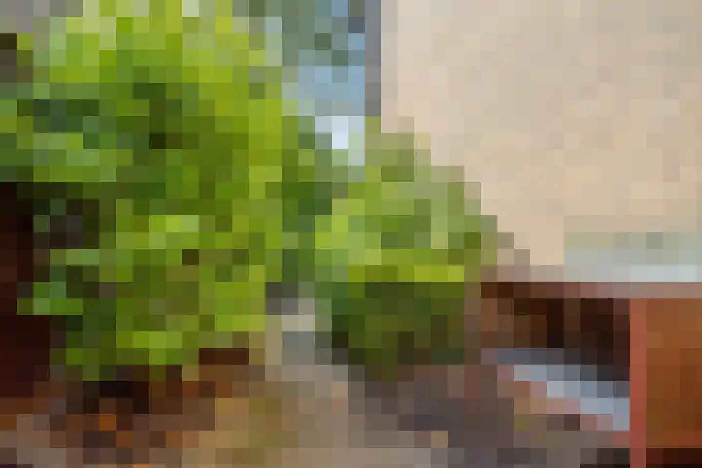 Bessegaard 7 Zwaag thumbnail 33