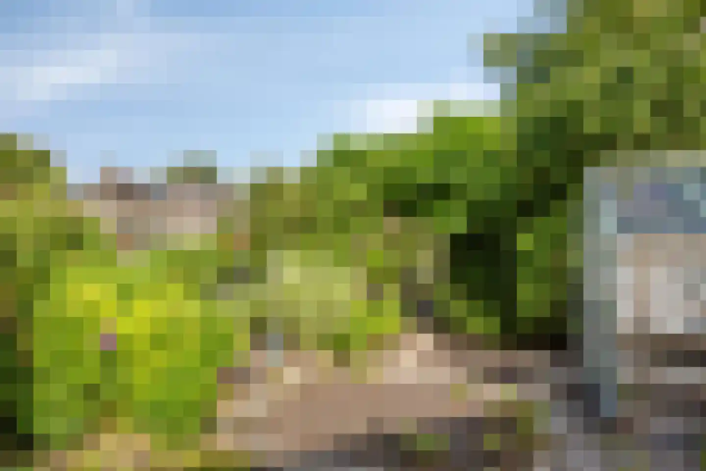 Bessegaard 7 Zwaag thumbnail 35