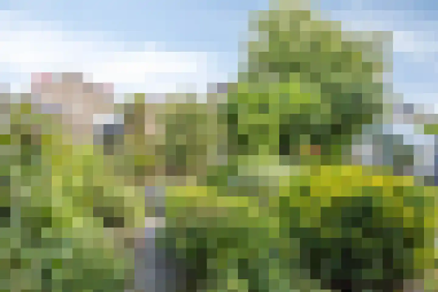 Bessegaard 7 Zwaag thumbnail 36