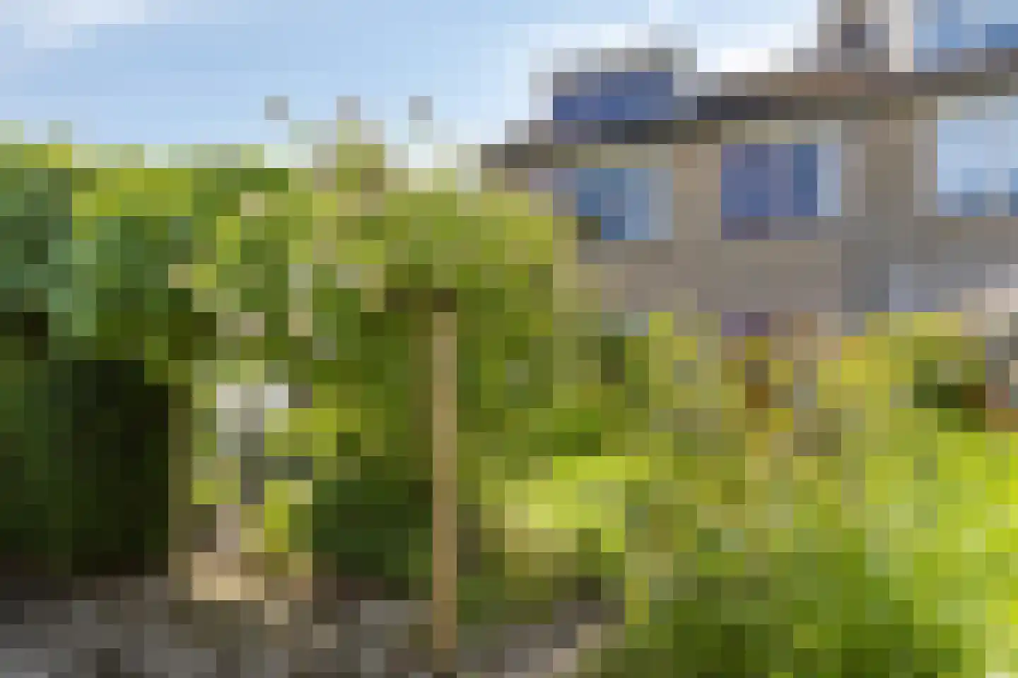 Bessegaard 7 Zwaag thumbnail 37