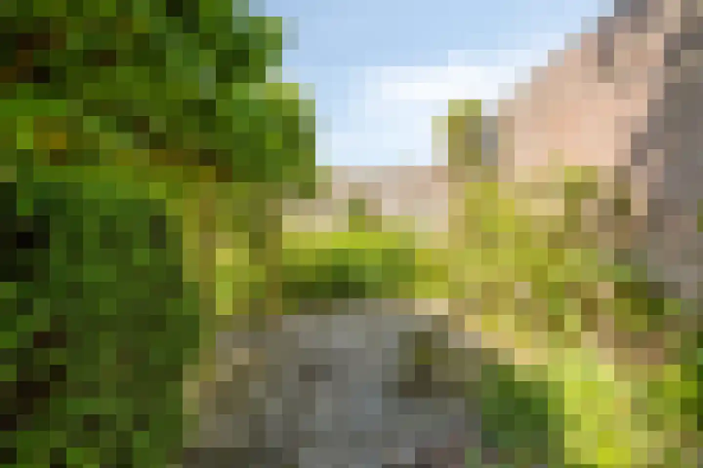 Bessegaard 7 Zwaag thumbnail 38