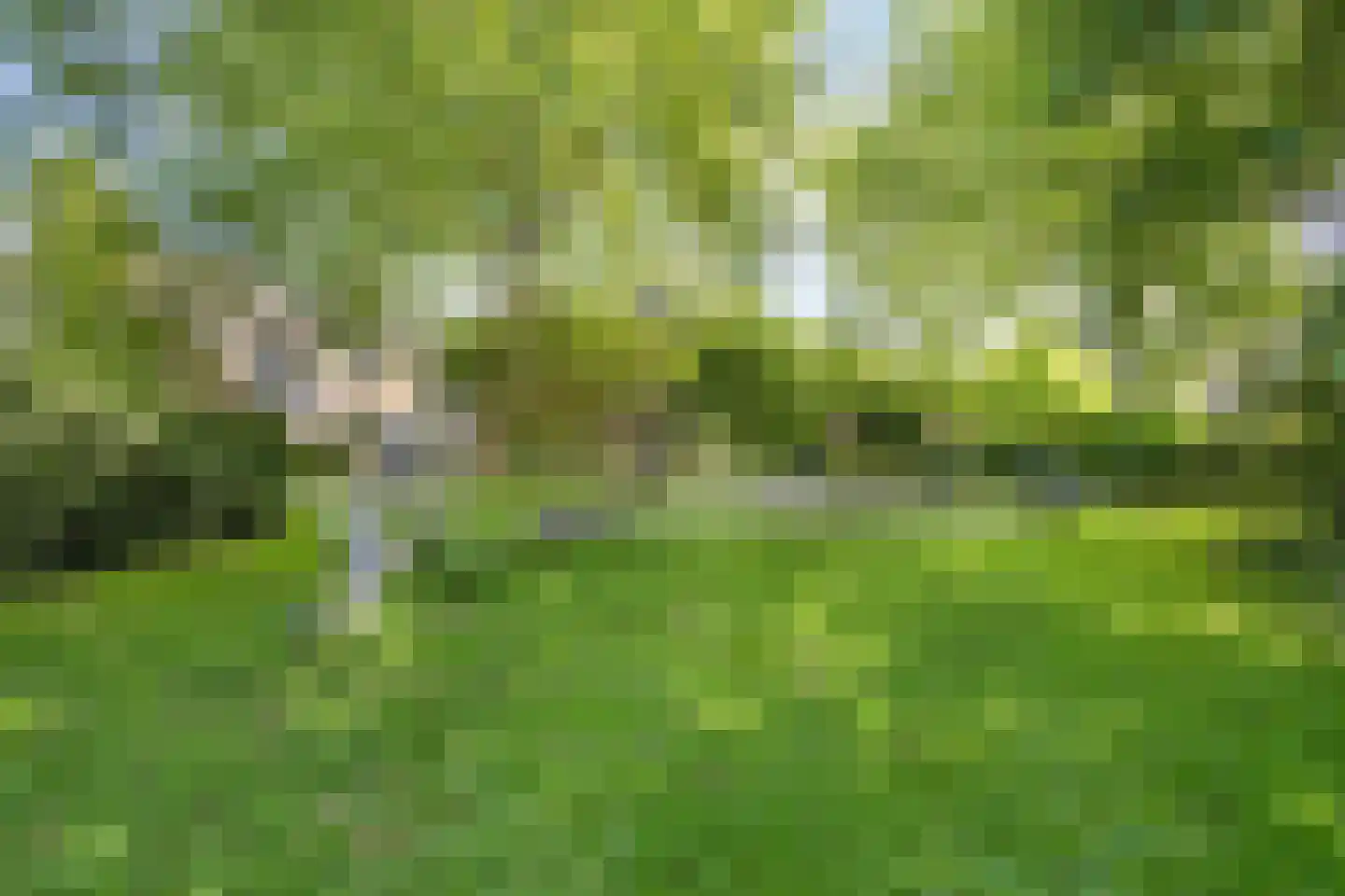 Bessegaard 7 Zwaag thumbnail 40