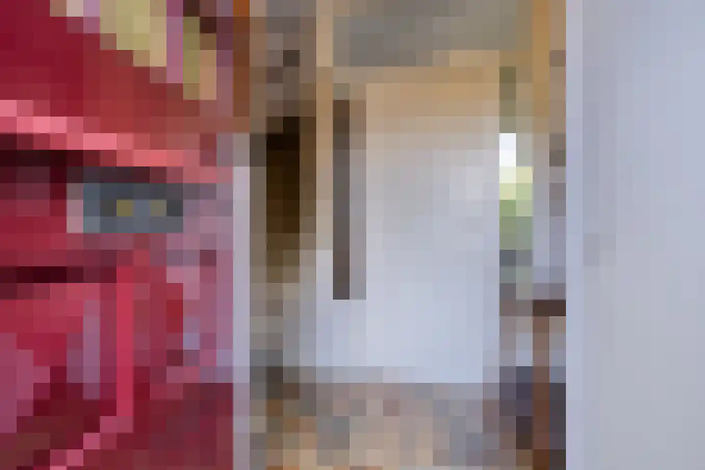 Bessegaard 7 Zwaag thumbnail 6